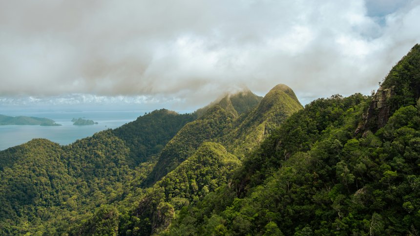 Fale traditionnel sous les cocotiers à Lalomanu, Samoa