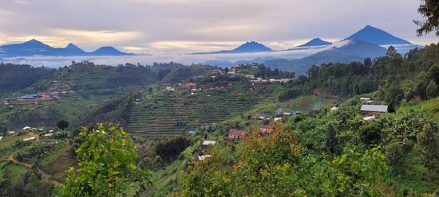 Vue sur les volcans de la chaîne des Virunga à Musanze