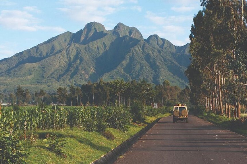 Paysage d'une zone protégée dans le parc national des volcans à Musanze